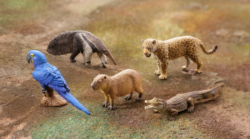 BOX販売 WILD RUSH 真・世界動物誌II ～第二章 南アメリカ・アマゾン編～