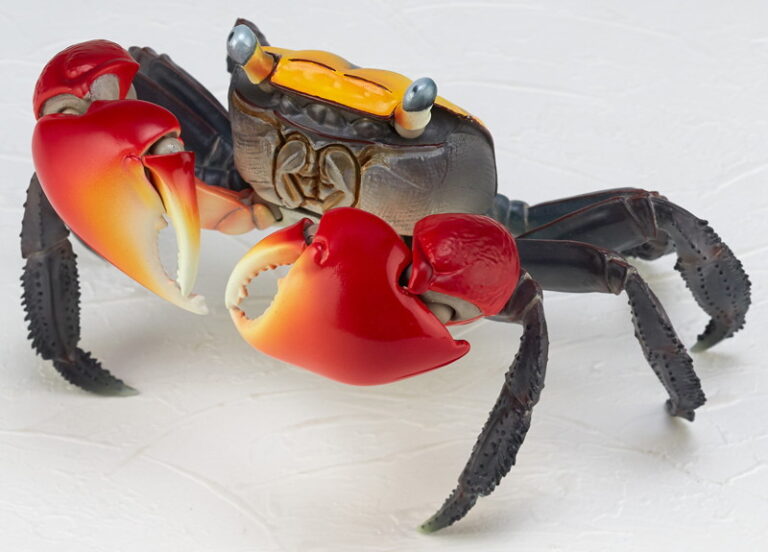 リボジオ アカテガニ