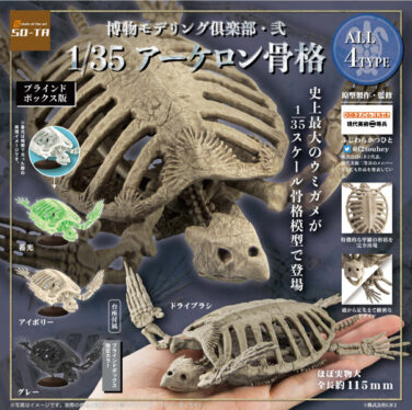 【BOX販売】博物モデリング倶楽部 弐 1/35 アーケロン骨格（全4種） 1BOX:4個入