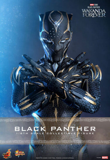 【ムービー・マスターピース】 『ブラックパンサー/ワカンダ・フォーエバー』1/6スケールフィギュア ブ…