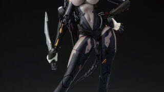 ASSASSIN アサシン 1/12 完成品アクションフィギュア