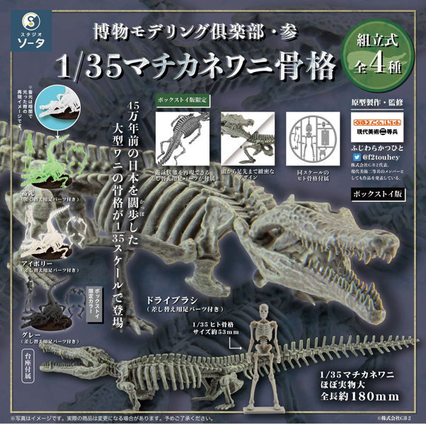 【BOX販売】博物モデリング倶楽部・参 1/35 マチカネワニ骨格（全4種） 1BOX:4個入