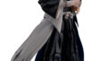 S.H.Figuarts BLEACH 朽木白哉