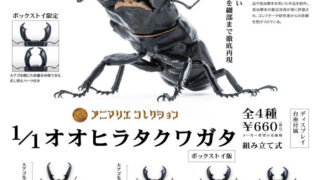 【BOX販売】アニマリエコレクション1/1オオヒラタクワガタ （全4種） 1BOX:4個