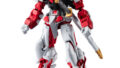 GUNDAM UNIVERSE 機動戦士ガンダムSEED ASTRAY MBF-P02 GUNDAM ASTRAY RED FRAME