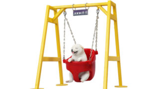 柴犬のブランコ遊び 2.0 A