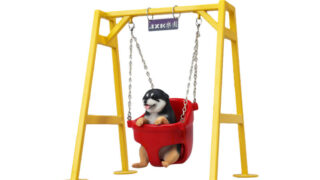 柴犬のブランコ遊び 2.0 B