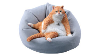 タンキング キャット C