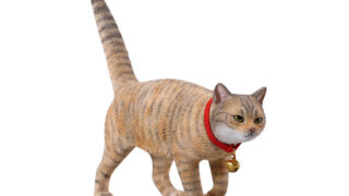 中国田舎猫 7.0 C